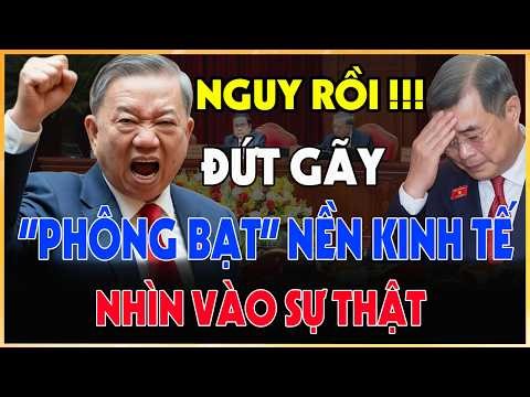 Tin Tức Mới Nhất Hôm Nay: Khi nền kinh tế 'phông bạt' đứt xích dưới chân những chiếc lồng kính.