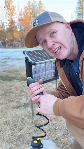 Solar powered bug zapper #bugzapper #solarpowered #mosquitos #bugrepellent