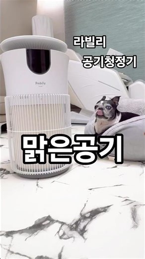 강아지,고양이 공기청정기 출시? 라빌리 펫 전용 공기청정기 반려동물 냄새 털 제거 HEPA 3단계 필터 UVC 살균 음이온 #pet