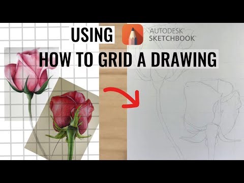How to grid and sketch accurately | Beginner Flower Drawing ✍️