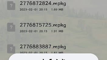 文件中mpkg格式在wallpaper中打开