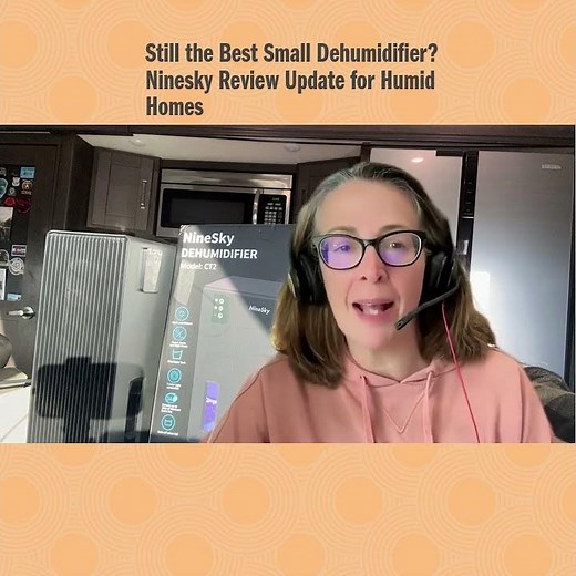 Still the Best Small Dehumidifier? Ninesky Review Update for Humid Homes