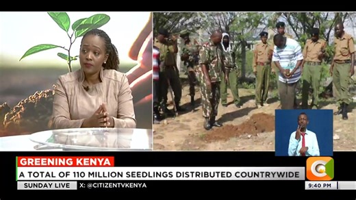 Soipan Tuya: We have a mobile phone application called ‘The Jaza Miti App’. Between yesterday and the last time I checked, we have had a registration of 2 million trees. I would encourage that do whatever else you have planned to do for the day after you have heeded to this call of national duty #SundayLive Jeff Koinange Victoria Rubadiri | Citizen TV Kenya