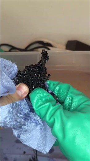 ⚒️Dwarven Expedition Project start