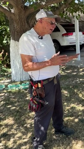 70-year-old landscaper hospitalized after bee attack