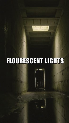 The Endless Hallway: What Happens if You Go In?