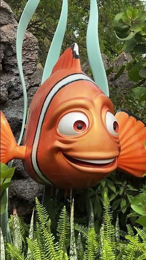 Big smiley faces. Characters from Finding Nemo.