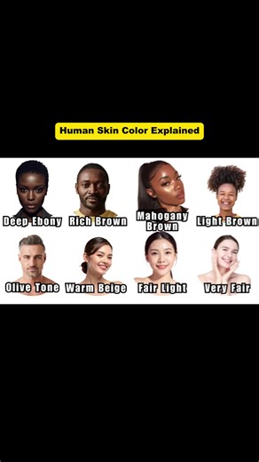 Exploring Every Skin Color and Its Unique Benefits