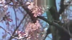 科技发展太快!最清晰的裸眼3D电视,怎么做到了!