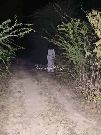 Exploring Haunted Forests: Scary Places to Visit