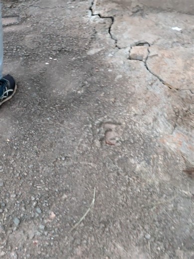 pessoal, não vou ficar me mostrando, só me mostrou buscando msm. não quero subir em cima de imagem de ninguém. filmar q estou ajudando? não!! prefiro achar q estou levando pra casa #trending #juizdefora #photography