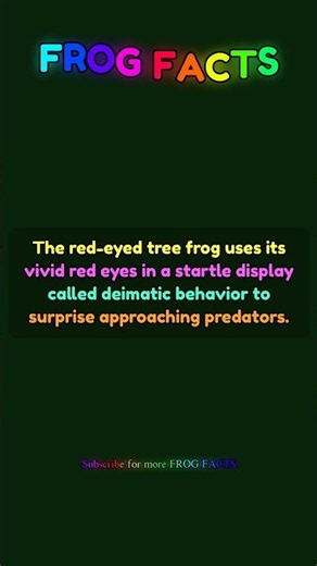 The red-eyed tree frog uses its vivid red... | Frog Facts