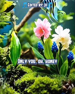 93K views · 707 reactions | HONEY(Song Lyrics) By: Tito Mina Edited by: Jo #nocopyrightinfringementintendedmusicbelongstotherightfulowner #ilovemusic | Jo Tata Roloos | Facebook