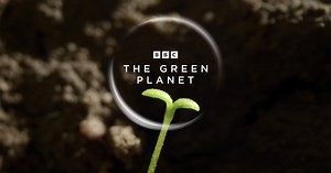How BBC Earth Brought Plants to Life for 'The Green Planet' Documentary