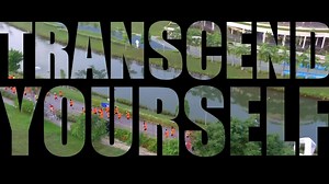 11 reactions | Since 2016, The Performance Series has been...