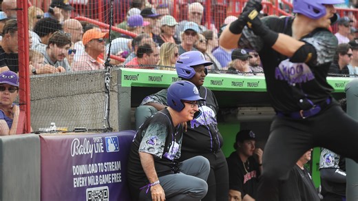 Catch an Erie SeaWolves game this year for one of these promotions