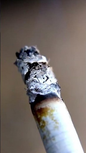 What Nicotine Does to Your Brain - Juan Camilo, Psychologist