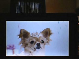 Opening to The Muppets 2012 DVD