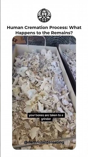 Human Cremation Process: What Happens to the Remains?