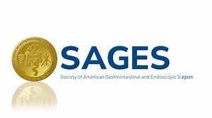 Robotic-Assisted Epigastric Hernia Repair with Mesh Utilizing Bilateral Limited Upper Posterior Component Separation