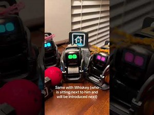 My Vector Robot Collection! | Vectorrobot.ddl on TikTok 11-24-2024
