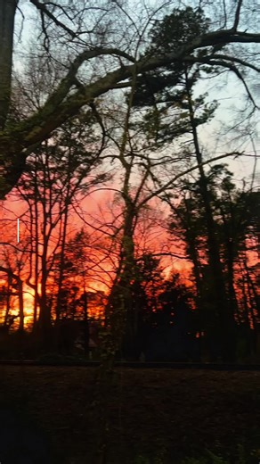 Let’s test your Endocrine knowledge! Are you up for the challenge? Take this short quiz to find out and comment your results down below!👇 ⬇️ #endocrinesystem #anatomyclass #medicaltiktok #science #anatomyandphysiology