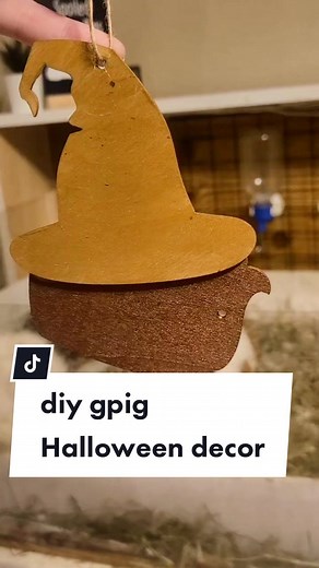 DIY Guinea Pig Halloween Decoration Ideas from Dollar Store