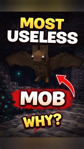Most Useless Mob in Minecraft? 🤔