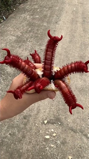 Baby Accidentally Eats Bread Full of Bugs! 😂🥖🐛👶#couple #martialarts #shorts