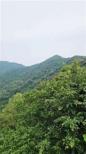 2026 대암산 가는길 내대암봉에서... /On the way to Daeamsan Mountain, at Naedaeambong Peak...