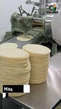 Celorio Tortilla Machine with Speed ​​Variator | 100KS Compact