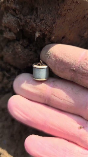 This is really a rare pigeon ring.