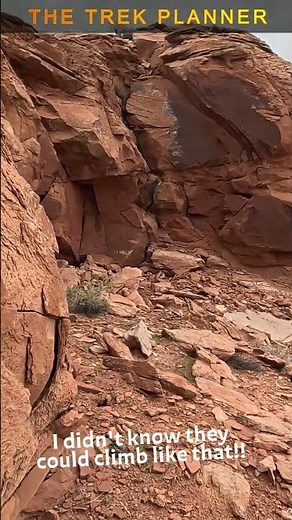 I didn’t know they could do that! #adventure