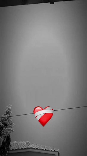 #angola🇦🇴portugal🇵🇹brasil🇧🇷