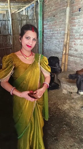 dahej mein bhaish chahi #trending #shorts