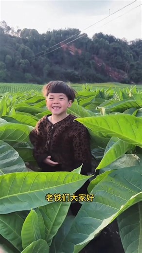 Lost in the Crop, Found a Lesson#shorts