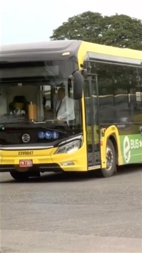 JUTC Goes Green: Electric & CNG Buses Driving Jamaica’s Vision 2030 🌱🚍