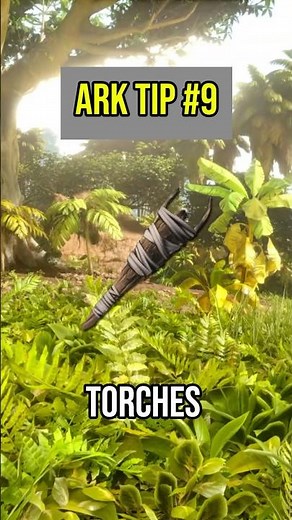 Ark Tips You Need To Know #9! Did You Know This?