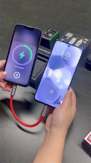 A gift that looks cute and charges everything.