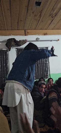 Moments of Emotion and Connection