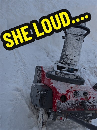 Man, I love this little snapper Snow blower. #snow #mechanic #fyp #farmlife #snowblower