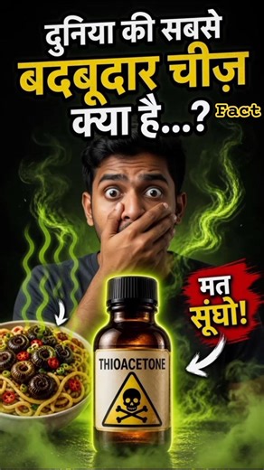 World’s Smelliest Thing दुनिया की सबसे बदबूदार चीज़?! FactoVinex
