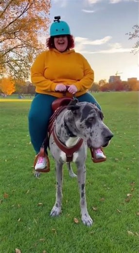 Fat woman riding AI - سيدة سمينة تركب