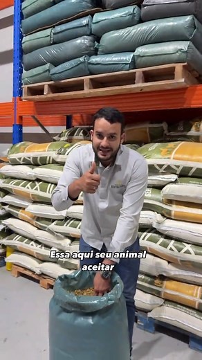 Silagem de Mandioca: Nutrição e Energia para a Pecuária