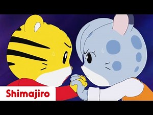 A Funny Fight 🥊 | Friendship | 24 Minute Compilation | Kids video for Kids | Shimajiro