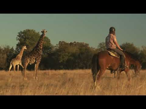 Horse Safari at Horizon Horseback South Africa