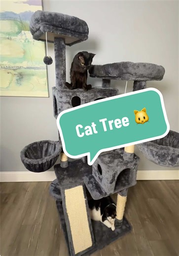 This is one of the few cat trees where every feature actually gets used. Adjustable baskets, long cubbies, roomy top perches with borders, and lots of scratchy spots — everyone finds a place and keeps coming back to it. It’s on sale right now on TikTok Shop — I’ve got it linked below. Check the cart to see what discounts you qualify for 🐾 #CatTok #CatTree @HOOMIC #PetFriendlyHome #CatFurniture #TikTokShop