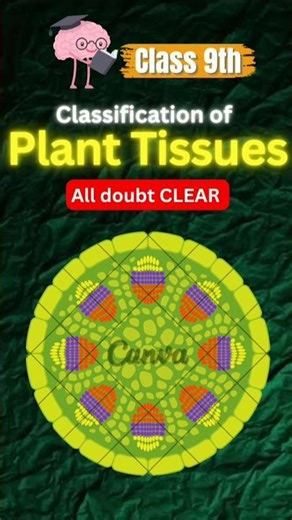 Classification of plant tissues #harshusartgallery
