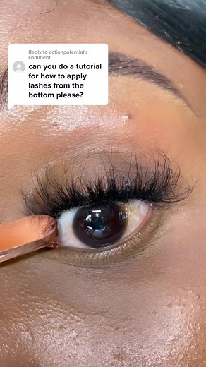 How to Apply Strip Lashes for Beginners: Step-by-Step Guide