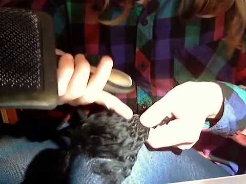 How to Make a Basic Yarn Tail